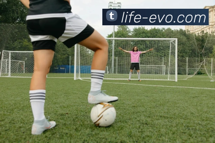 EVO真人官网平台生态图