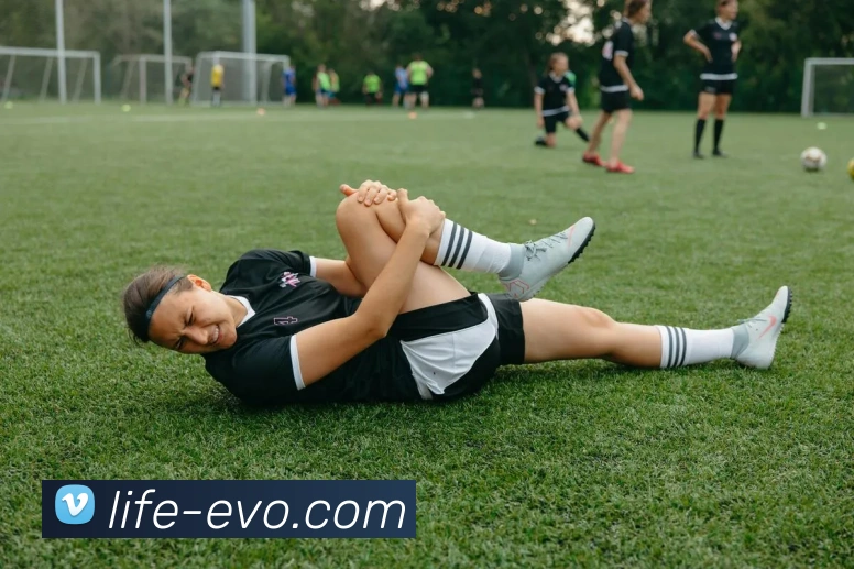 EVO真人官网全站App